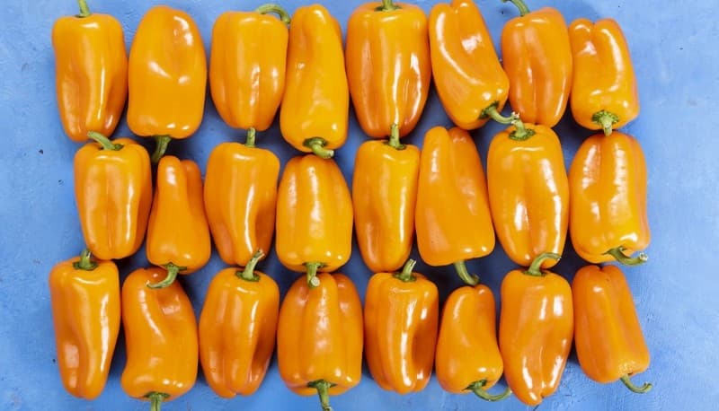 images/1677051458330Clasificadora de pimiento verde1.jpg